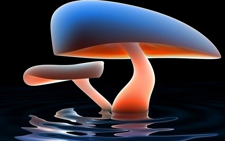 вода, абстракция, отражение, грибы, гриб, гриб в воде, 3д графика, water, abstraction, reflection, mushrooms, mushroom, mushroom in the water, 3d graphics