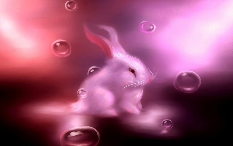 розовый кролик, pink rabbit