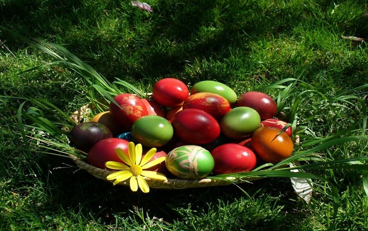 весна, пасха, праздник, пасхальные яйца на траве, spring, easter, holiday, easter eggs on grass