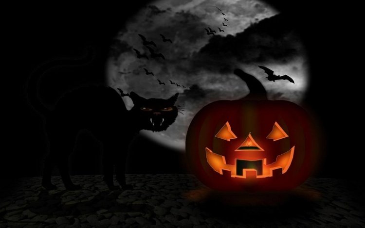 тыквы и кот на фоне луны, pumpkin and cat on moon background