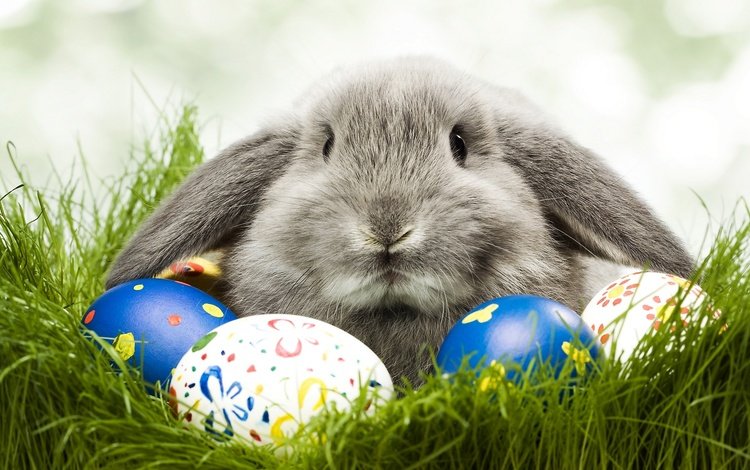заяц и пасхальые яйца, the hare and paskalya eggs