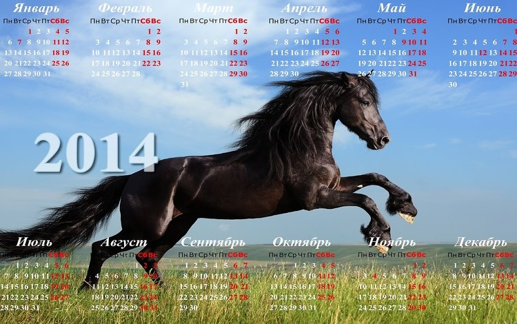 календарь 2014 с лошадью, calendar 2014 with horse
