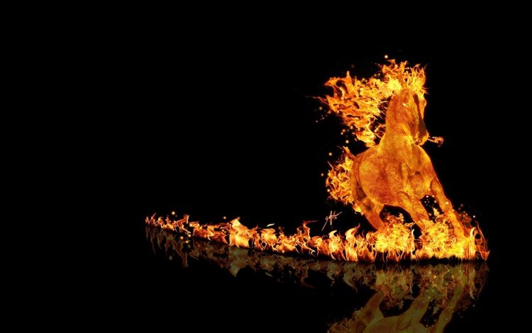 огонь, конь, бег, fire, horse, running