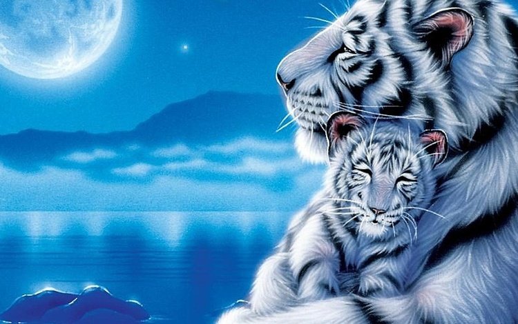 белый тигр с тигренком, white tiger with cub