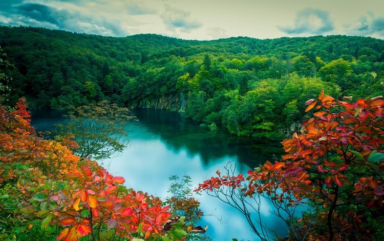 озеро в осеннем лесу, lake in autumn forest