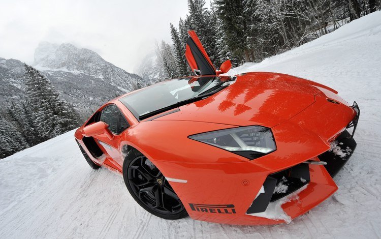 снег, ракурс, спорткар, моська, lamborghini aventador lp700-4, snow, view, sports car, pug