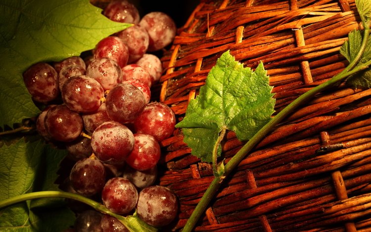 листья, виноград, корзина, ягоды, лоза, корзинка, виноград красный, leaves, grapes, basket, berries, vine, grape red