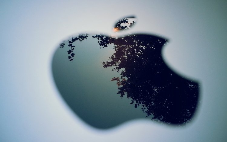 макро, ipad 3d, эппл, macro, apple
