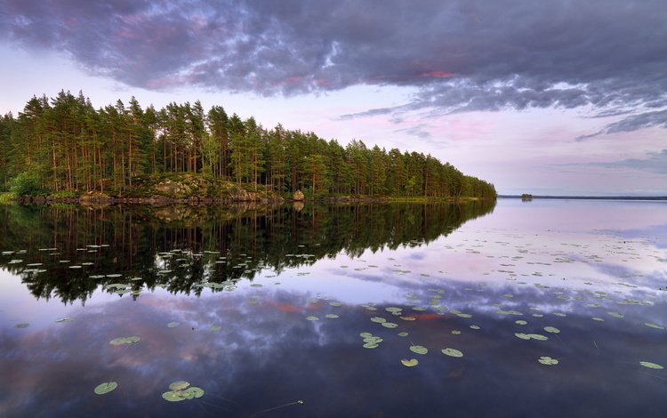 деревья, озеро, лес, швеция, остров, швеции, lake teen, n__rke, trees, lake, forest, sweden, island