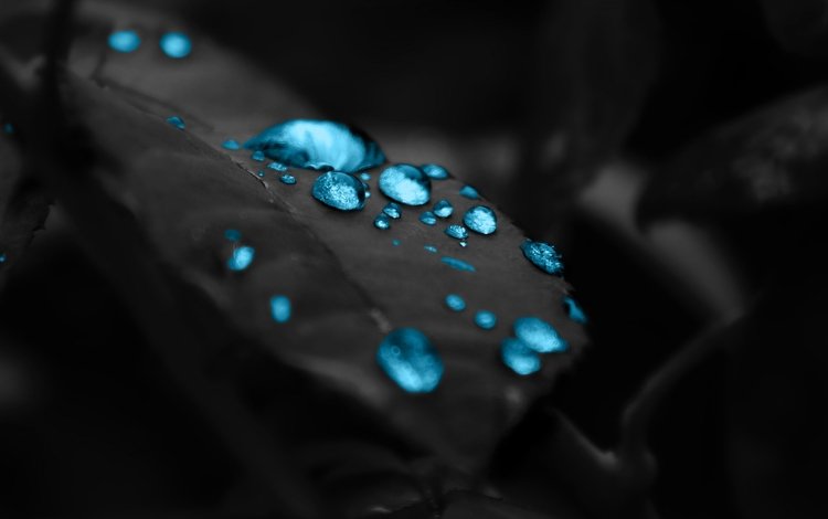 вода, капли, лист, turquoise water drops, water, drops, sheet