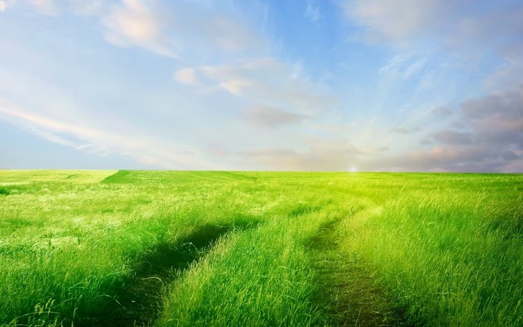 небо, дорога, трава, облака, зелень, поле, горизонт, the sky, road, grass, clouds, greens, field, horizon