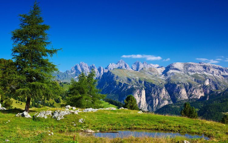 деревья, горы, природа, камни, италия, альпы, alpen, alpes, trees, mountains, nature, stones, italy, alps