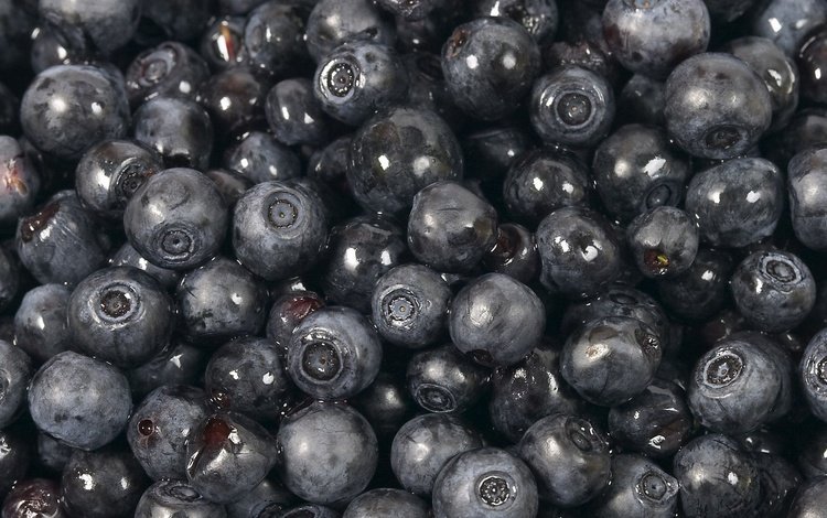 макро, ягода, черника, macro, berry, blueberries