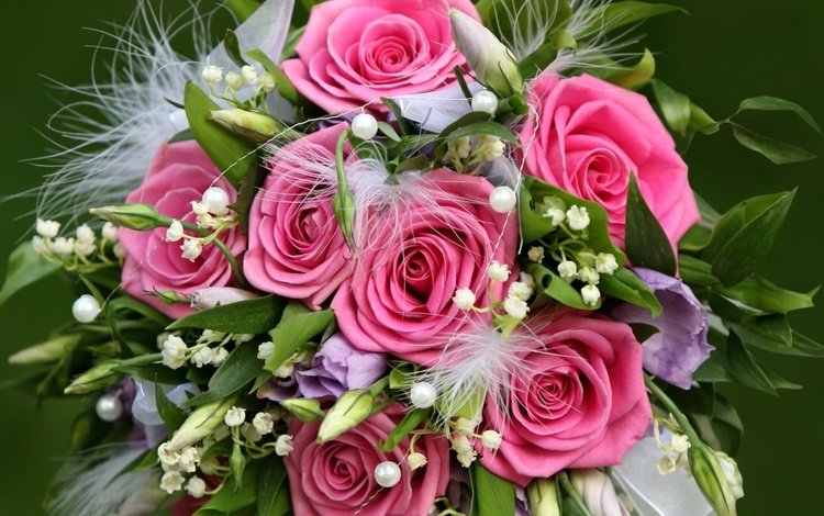 цветы, цветок, розы, девушки, розовые, нежные, красивые, - вам подарок, flowers, flower, roses, girls, pink, gentle, beautiful, you gift