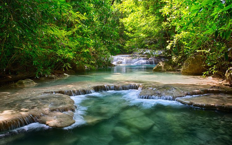 деревья, река, зелень, листья, тайланд, водопады, trees, river, greens, leaves, thailand, waterfalls