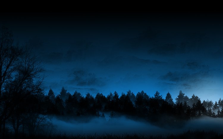 туман в ночном лесу, fog in the forest at night