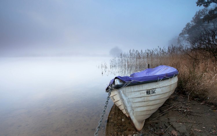 озеро, туман, лодка, камыш, lake, fog, boat, reed
