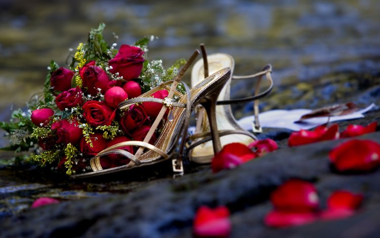 цветы, розы, роза, романтика, букет, свадьба,  цветы, роз, flowers, roses, rose, romance, bouquet, wedding