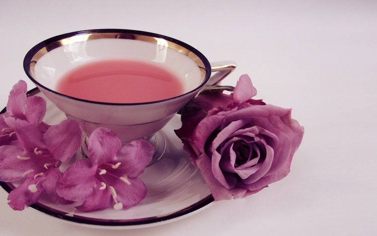 цветы, розы, блюдце, чашка, чай, кепка,  цветы, роз, flowers, roses, saucer, cup, tea, cap