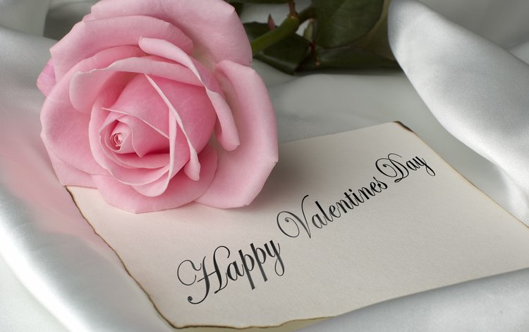роза, романтик, мелодрама,  цветы, happy valentines day, хорошенькая, пинк, rose, romantic, romance, flowers, pretty, pink