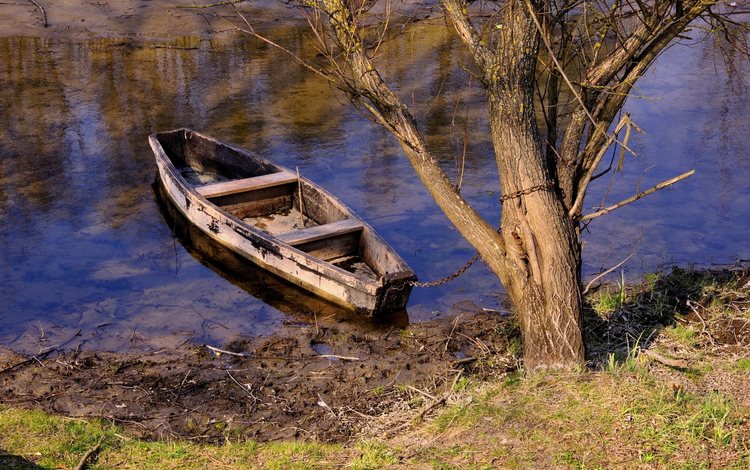 река, дерево, лодка, цепь, river, tree, boat, chain