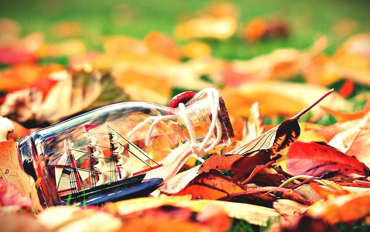 листья, настроение, осень, бутылка, кораблик, leaves, mood, autumn, bottle, boat