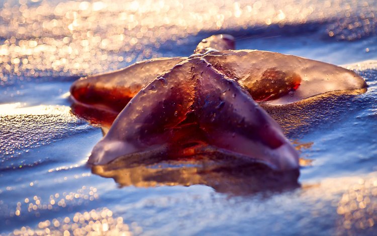 макро, море, пляж, мокро, macro, sea, beach, wet