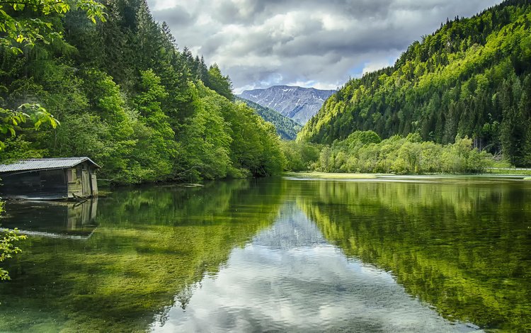 деревья, вода, озеро, горы, природа, пейзаж, австрия, green lake, trees, water, lake, mountains, nature, landscape, austria