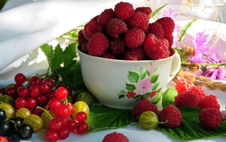 малина, ягоды, красная смородина, крыжовник, вкуснота, raspberry, berries, red currant, gooseberry, vkusnota