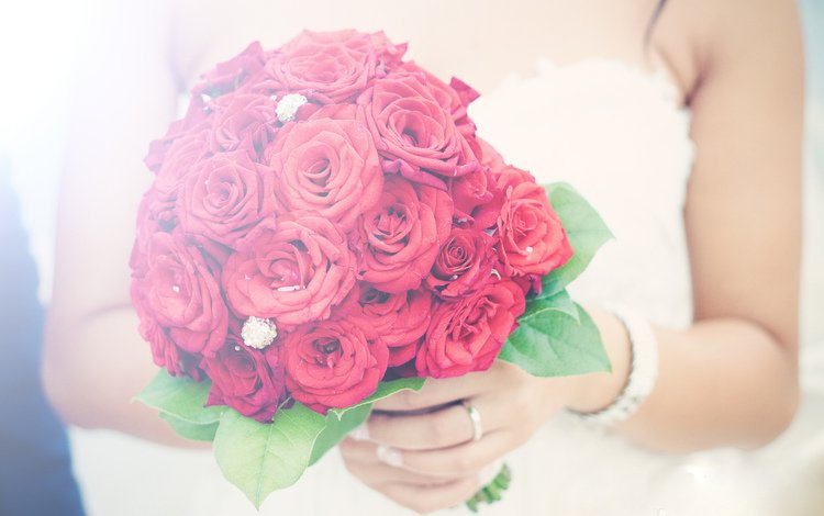 цветы, розы, букет, свадебный, flowers, roses, bouquet, wedding