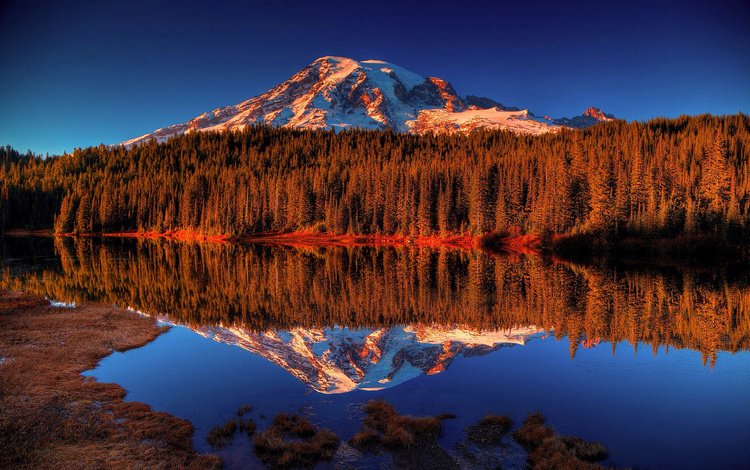 озеро, лес, отражение, гора, lake, forest, reflection, mountain