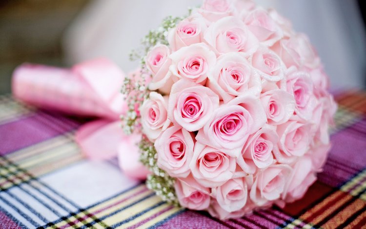розы, букет, розовый, свадьба, roses, bouquet, pink, wedding