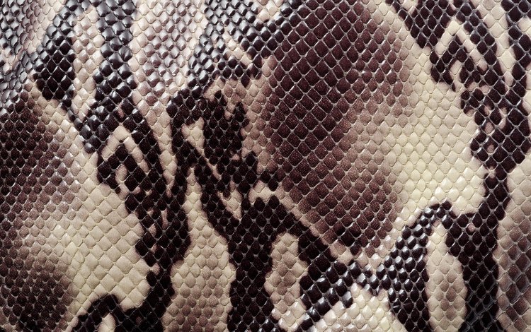 текстура, animal texture, раскраска, кожа змеи, змеиная кож, texture, coloring, a snake's skin