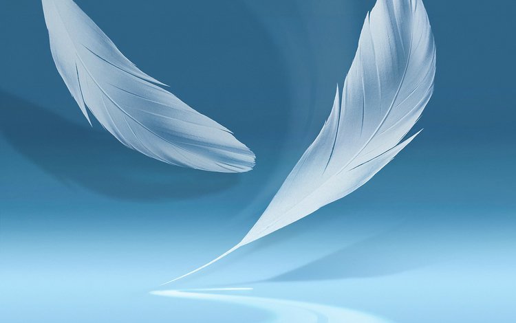 голубой фон с перьями (blue background with f, blue background with feathers (blue background with f