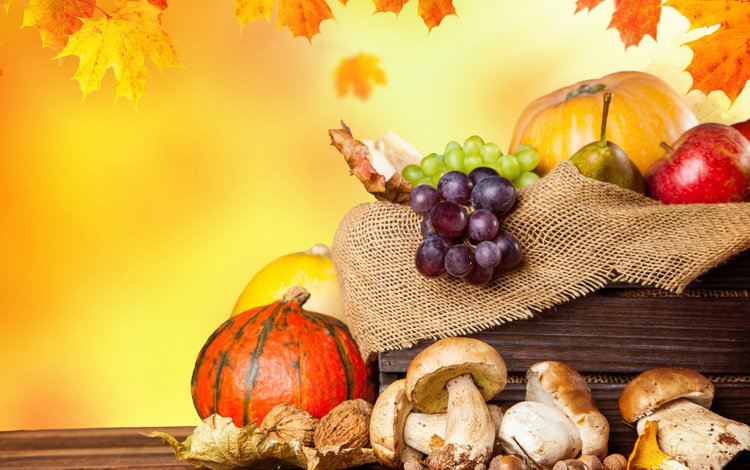 листья, тыквы, виноград, фрукты, яблоки, осень, грибы, урожай, овощи, leaves, pumpkin, grapes, fruit, apples, autumn, mushrooms, harvest, vegetables
