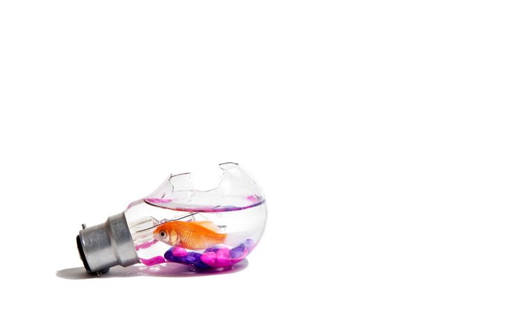 лампа, минимализм, рыбка, lamp, minimalism, fish