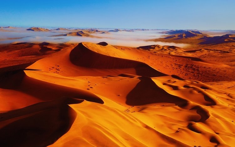 туман, песок, пустыня, бархан, красивый пустынный пейзаж, дюна, fog, sand, desert, barkhan, beautiful desert landscape, dune