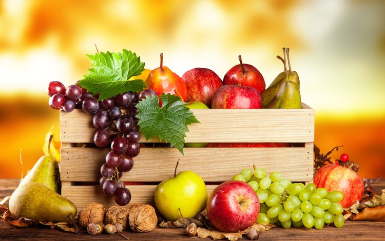 орехи, виноград, фрукты, яблоки, осень, урожай, груши, ящик, nuts, grapes, fruit, apples, autumn, harvest, pear, box