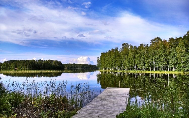 деревья, озеро, мостик, пейзаж, финляндия, trees, lake, the bridge, landscape, finland
