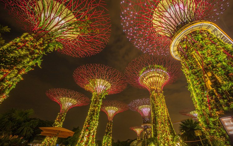 ночь, огни, парк, сад, подсветка, сингапур, marina bay sands, марина бей, marina bay gardens, night, lights, park, garden, backlight, singapore, marina bay