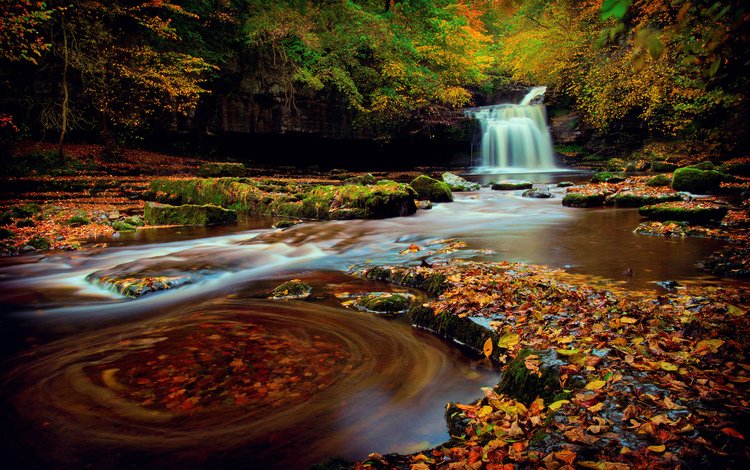 лес, водопад, осень, октябрь, йоркшир, северная англия, forest, waterfall, autumn, october, yorkshire, northern england