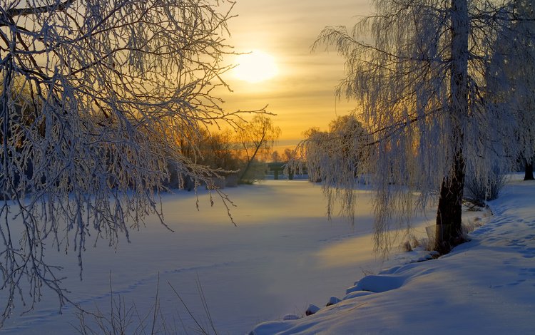 деревья, поляна, восход, швеция, солнце, снег, лес, зима, утро, иней, trees, glade, sunrise, sweden, the sun, snow, forest, winter, morning, frost