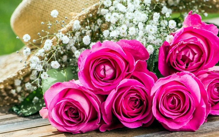 розовые розы, pink roses