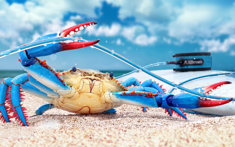 краб, 3д, blue crab, цифровое искусство, crab, 3d, digital art