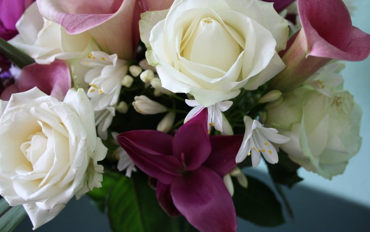 цветы, букет (вам девушки, независимо от вашей красоты), flowers, the bouquet (you girls, regardless of your beauty)