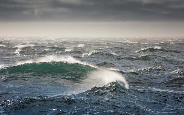 волны, шторм, берингово море, bering sea, wave, storm, the bering sea