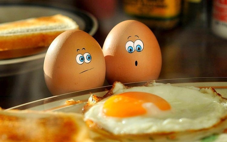 яйца, печаль, ужас, яичница, eggs, sadness, horror, scrambled eggs
