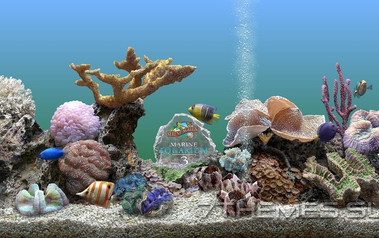 fishy aquarium 3d