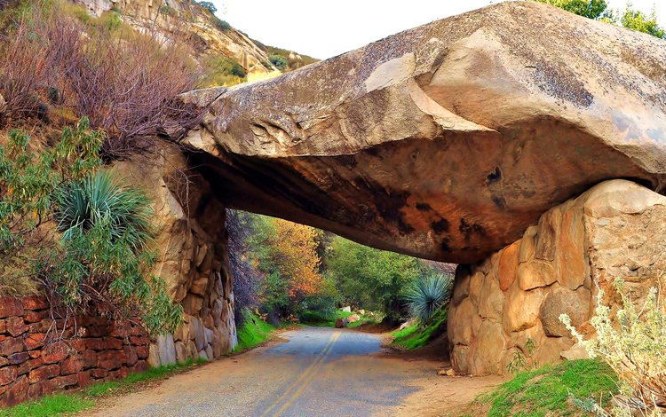 дорога, скалы, камни, сша, тоннель, sequoia national park, национальный парк секвойя, road, rocks, stones, usa, the tunnel