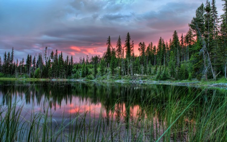 деревья, озеро, закат, пейзаж, канада, провинция альберта, trees, lake, sunset, landscape, canada, alberta